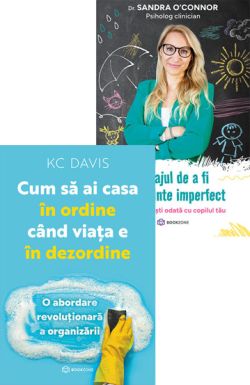 Cum sa ai casa in ordine cand viata e in dezordine   Curajul de a fi un parinte imperfect