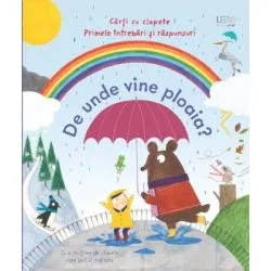 De unde vine ploaia? (Usborne) de Usborne Books