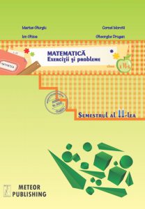 Matematica. Exercitii si probleme, clasa a VI-a, semestrul 2, 2013-2014