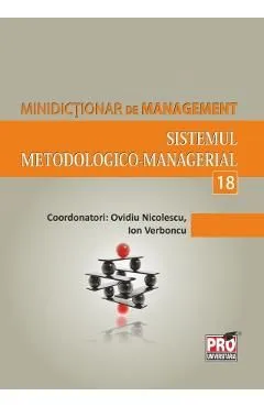 Minidictionar de management 18: Sistemul metodologico-managerial de Ovidiu Nicolescu
