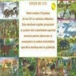 Set Planse Animale Salbatice