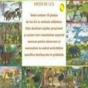 Set Planse Animale Salbatice