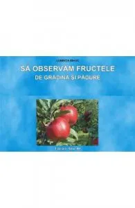 Sa observam fructele de gradina si padure de Planse