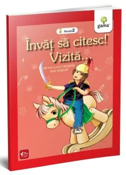 Vizită