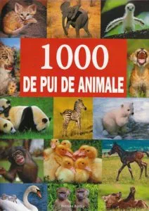 1000 de pui de animale