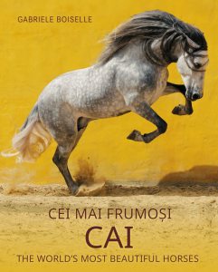 Cei mai frumosi cai