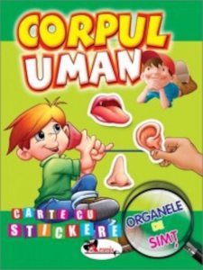 Corpul uman - Organele de simt