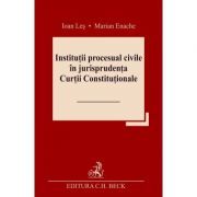 Institutii procesual civile in jurisprudenta Curtii Constitutionale
