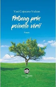 Pribeag prin poenile verii de Vasi Cojoacru-Vulcan