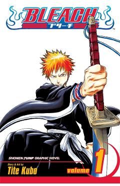 Bleach Vol.1