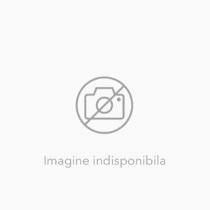 Cunoasterea stiintifica in orizontul tainei