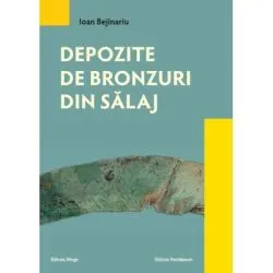 Depozite de bronzuri din Salaj de Ioan Bejinariu