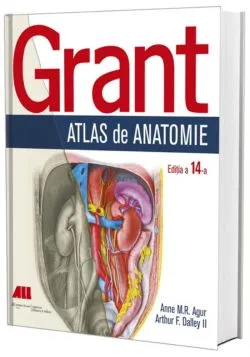 Grant - Atlas de anatomie de Anne M.R. Agur