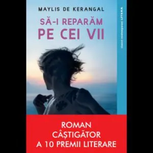 Sa-i reparam pe cei vii de Maylis de Kerangal