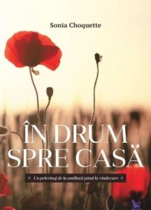 In drum spre casa