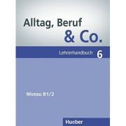 Alltag, Beruf & Co. 6, Lehrerhandbuch