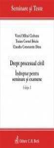 Drept procesual civil. Indreptar pentru seminare si examene. Editia 2