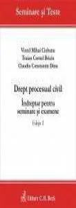 Drept procesual civil. Indreptar pentru seminare si examene. Editia 2