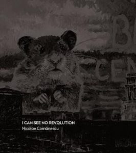 I can see no revolution