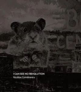 I can see no revolution