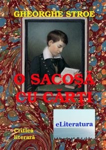 O sacosa cu carti. Critica literara