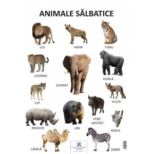 Plansa Animale Salbatice