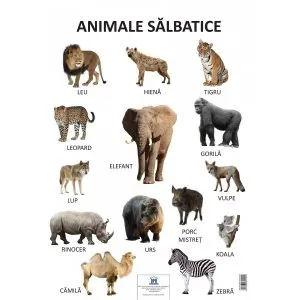 Plansa Animale Salbatice