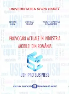 Provocari actuale in industria mobilei din Romania