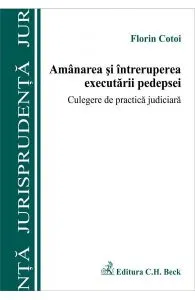 Amanarea si intreruperea executarii pedepsei de Florin Cotoi
