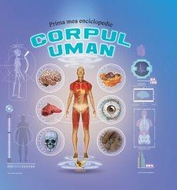 Corpul uman