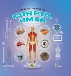 Corpul uman