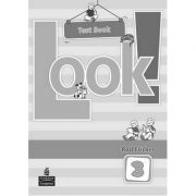 Look! 3 Test Book