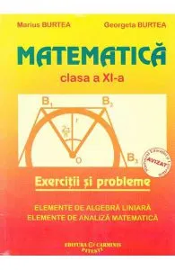 Matematica clasa 11 exercitii si probleme de Marius Burtea