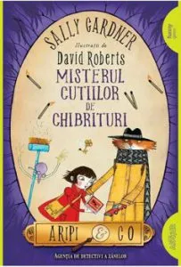 Misterul cutiilor de chibrituri de Sally Gardner