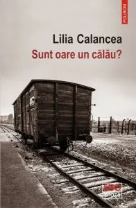 Sunt oare un călău? de Lilia Calancea