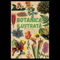Botanica ilustrata