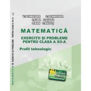 Matematica Exercitii si probleme pentru clasa a 12-a. Profilul Tehnologic