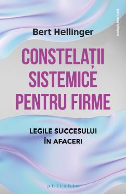 Constelatii sistemice pentru firme