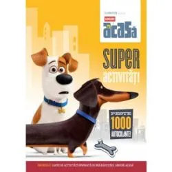 Singuri acasa. Super activitati. Peste 1000 de autocolante