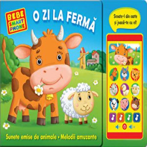 Viata, Urmarea si Psaltirea Maicii Domnului - Mama Noastra (necartonata)