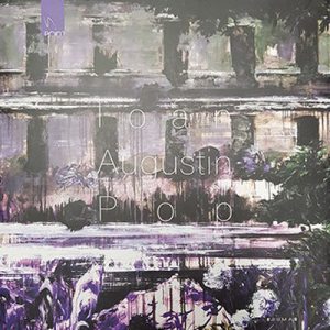 Album de arta - Ioana Augustin Pop