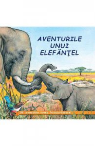 Aventurile unui elefantel