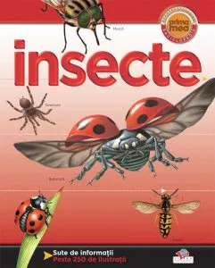 Insecte - Prima mea enciclopedie de Helen Flint