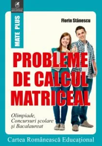 Probleme de calcul matriceal de Florin Stanescu