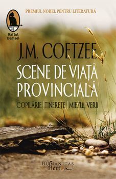 Scene de viata provinciala. Copilarie. Tinerete. Miezul verii