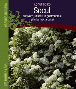 Socul - cultivare, utilizari in gastronomie si in farmacia casei