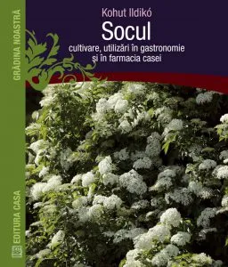 Socul - cultivare, utilizari in gastronomie si in farmacia casei de Kohut Ildiko