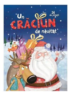 Un Crăciun de neuitat - 24 de povești