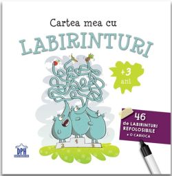 Cartea mea cu labirinturi ( 3 ani)