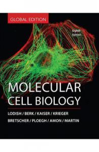 Molecular Cell Biology
